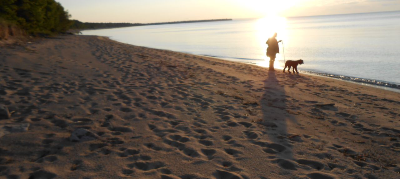 Short Term Rentals Their Impact on Marquette