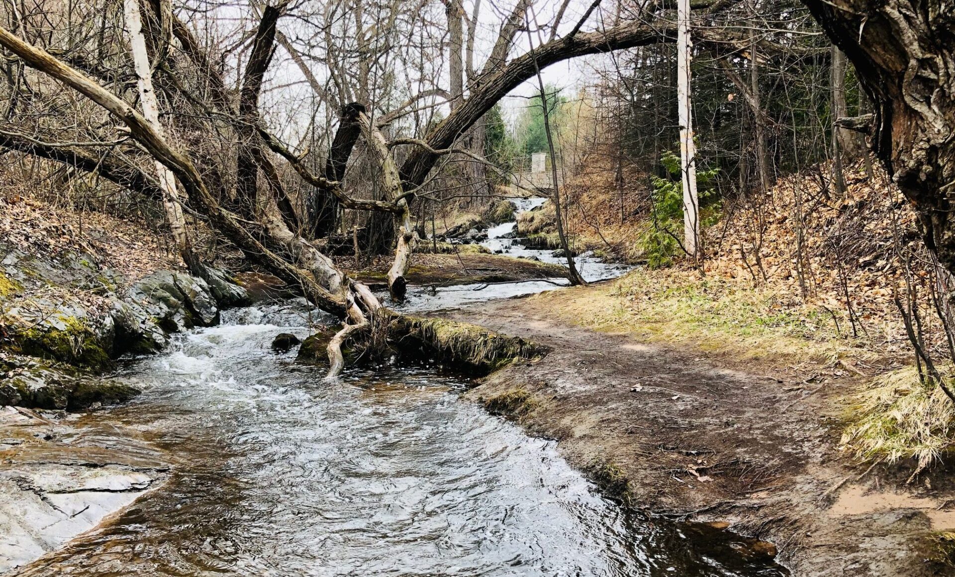 Founders Landing and South Marquette
